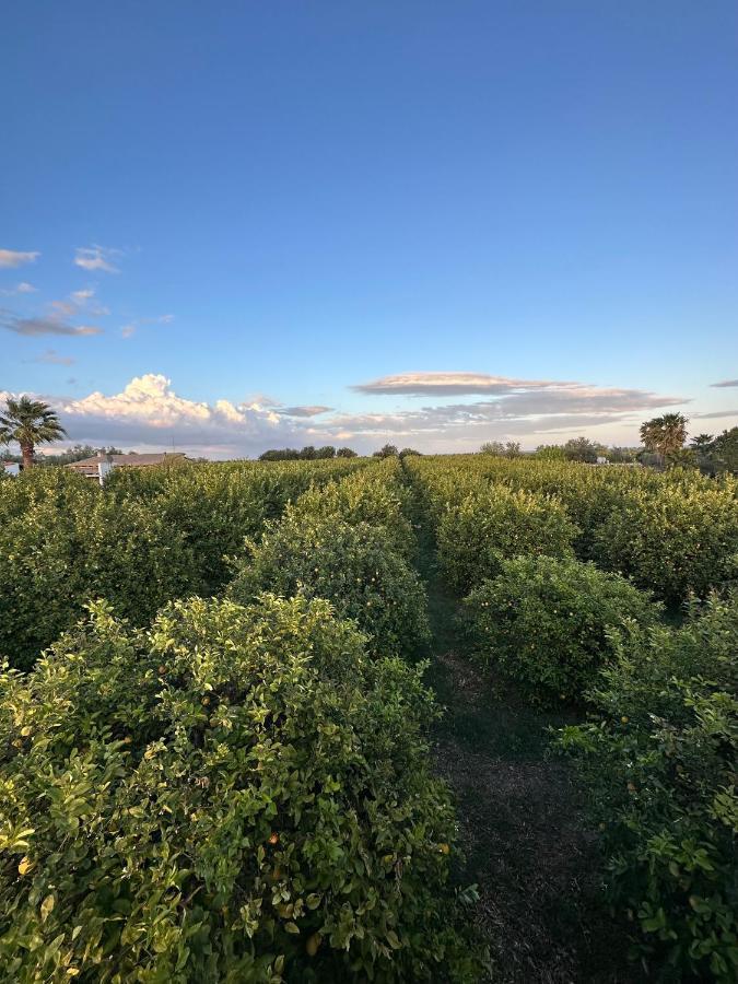 Villa Primofiore Di Vendicari La Banca Bagian luar foto