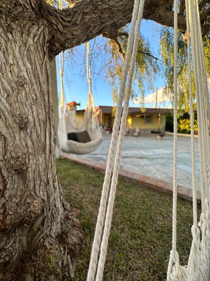 Villa Primofiore Di Vendicari La Banca Bagian luar foto
