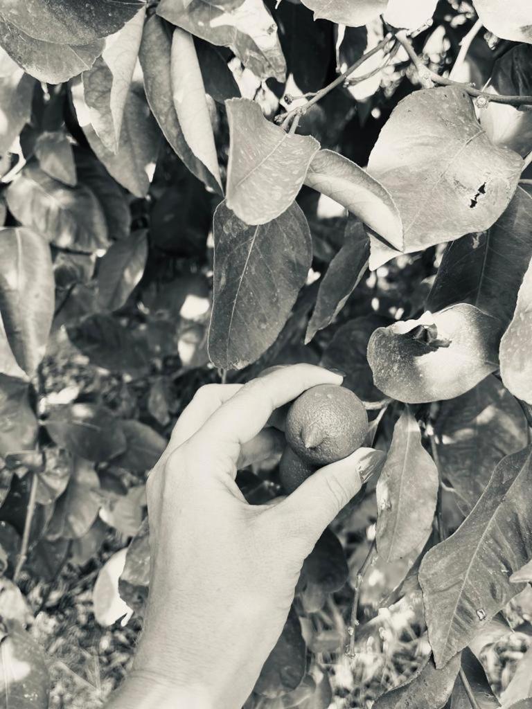 Villa Primofiore Di Vendicari La Banca Bagian luar foto