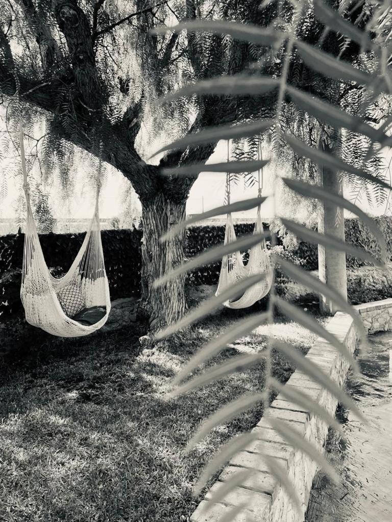 Villa Primofiore Di Vendicari La Banca Bagian luar foto